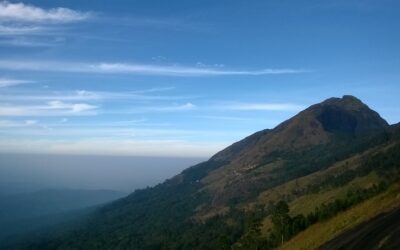 10 Best Munnar Tourist Places To Visit