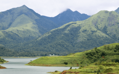 Wayanad: A Paradise of Lush Greenery and Cultural Riches