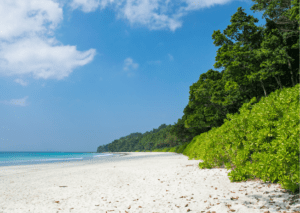 Radhanagar Beach